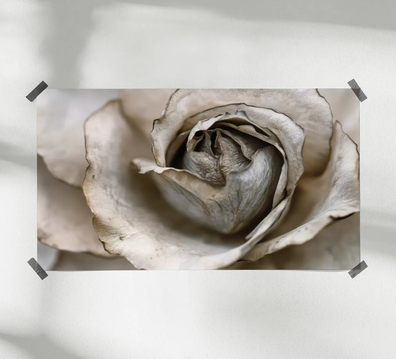 Gentle Flora No 08 poster con telaio in plastica da treechild