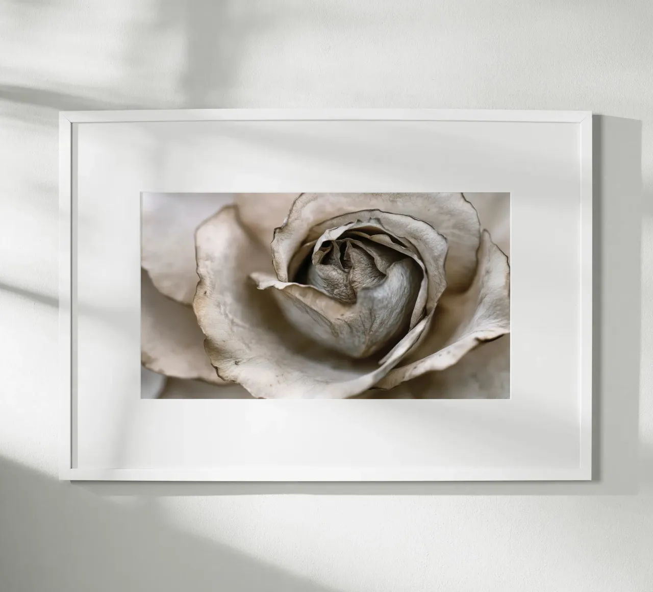 Gentle Flora No 08 poster con telaio in plastica da treechild