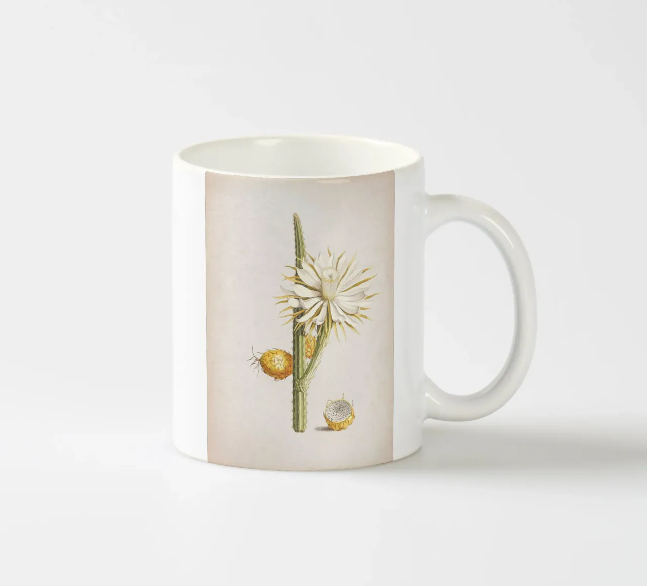 Vintage Ehret 1 Cereus Altissimus ceramic mug by Vintage Print Collection