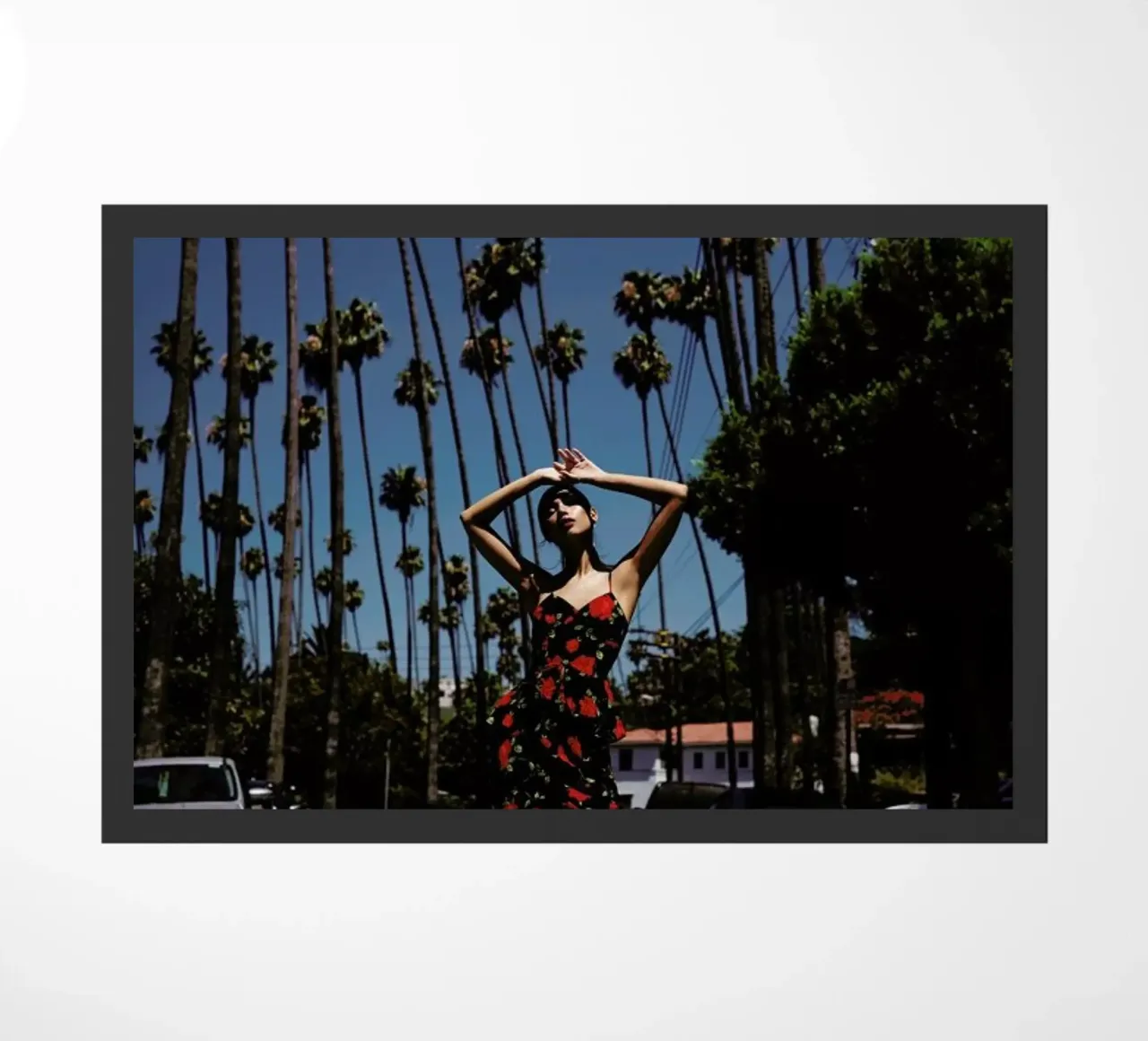 LA zerbino da Marie Bärsch