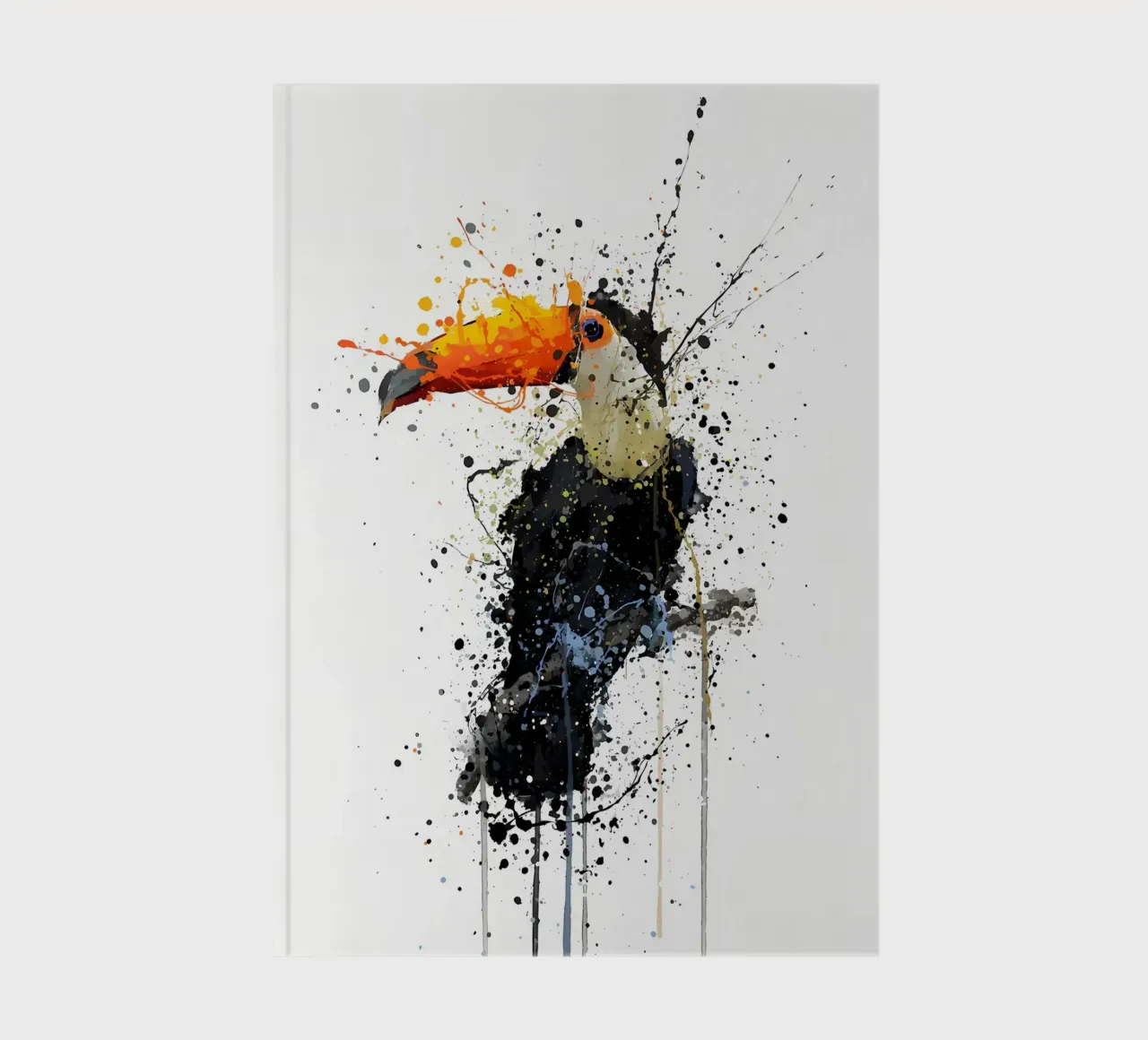 Toucan notebook by Allaire