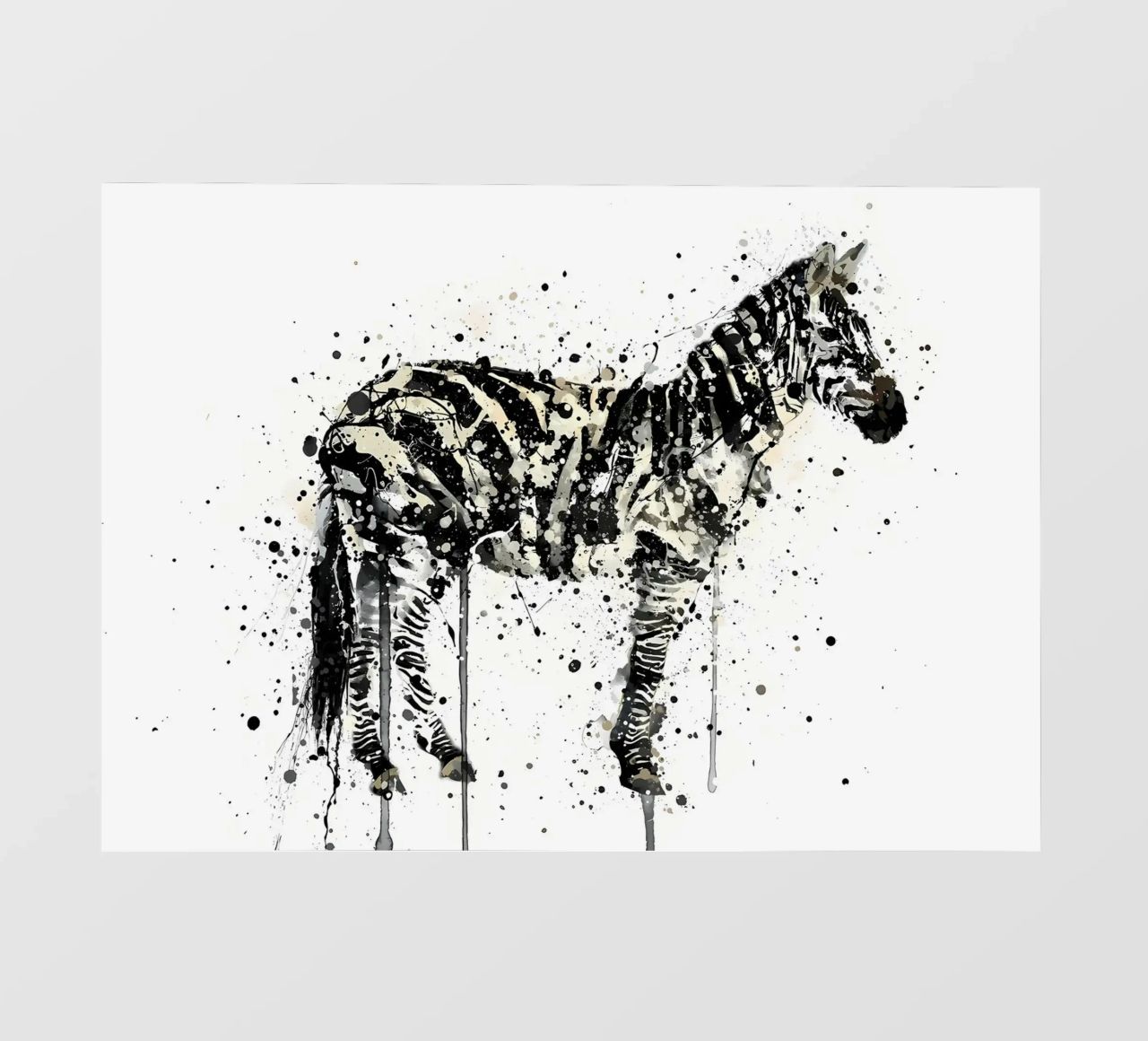 Watercolor Zebra pellicola backlit da Allaire