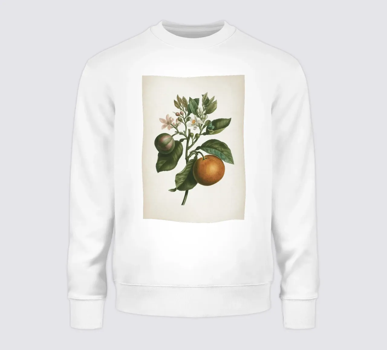 Vintage Redouté 1 Citrus Bigaradia felpa da Vintage Print Collection
