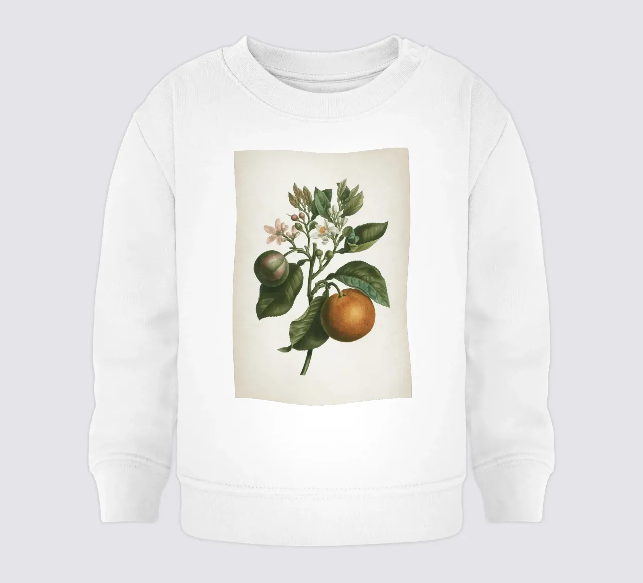 Vintage Redouté 1 Citrus Bigaradia felpa neonato da Vintage Print Collection