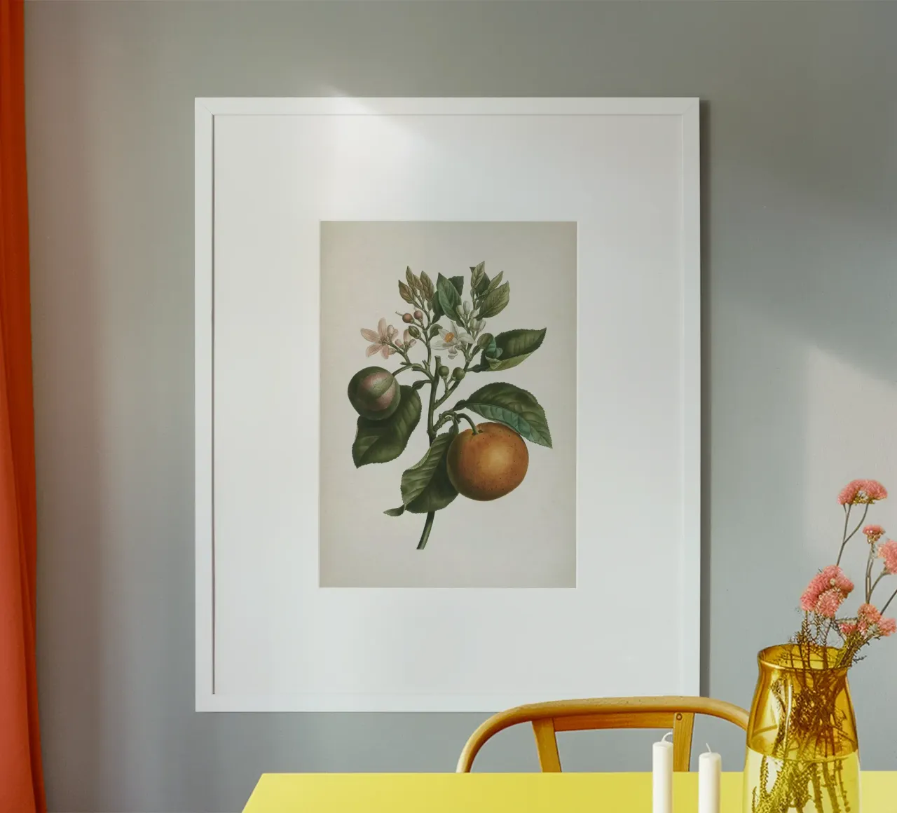 Vintage Redouté 1 Citrus Bigaradia carta hahnemühle da Vintage Print Collection