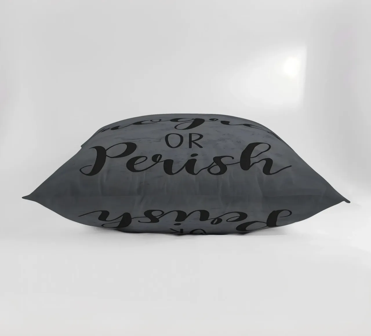 Fortschritt oder Untergang Kissen von Bassy