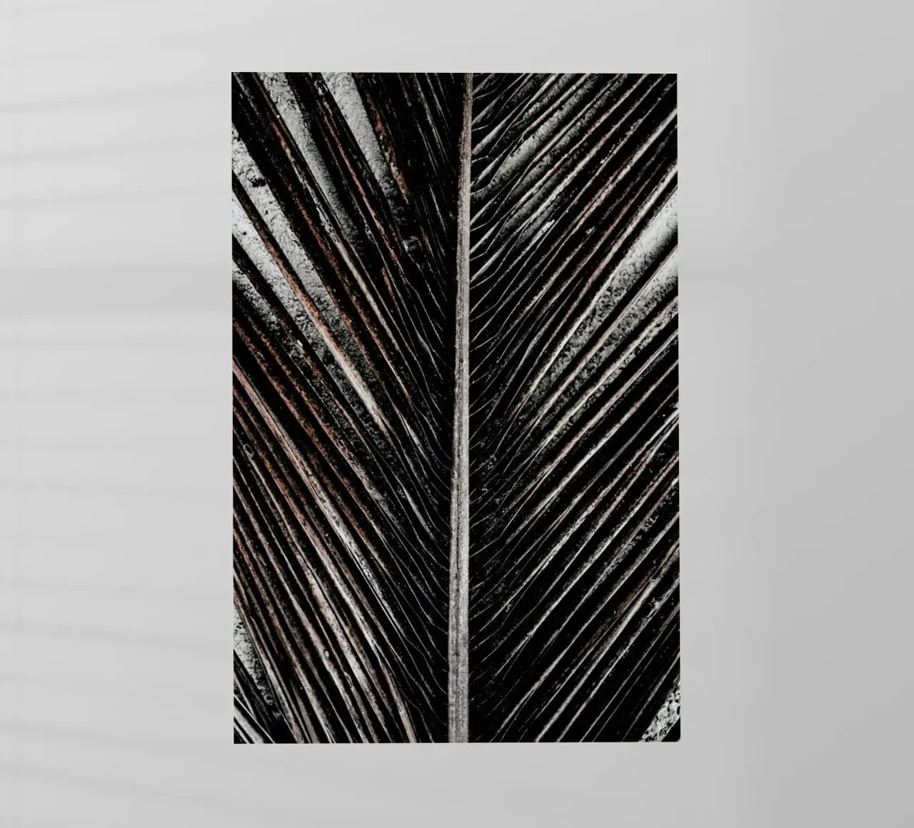 Beach Palm Patterns 12 pellicola backlit da Chris Abatzis