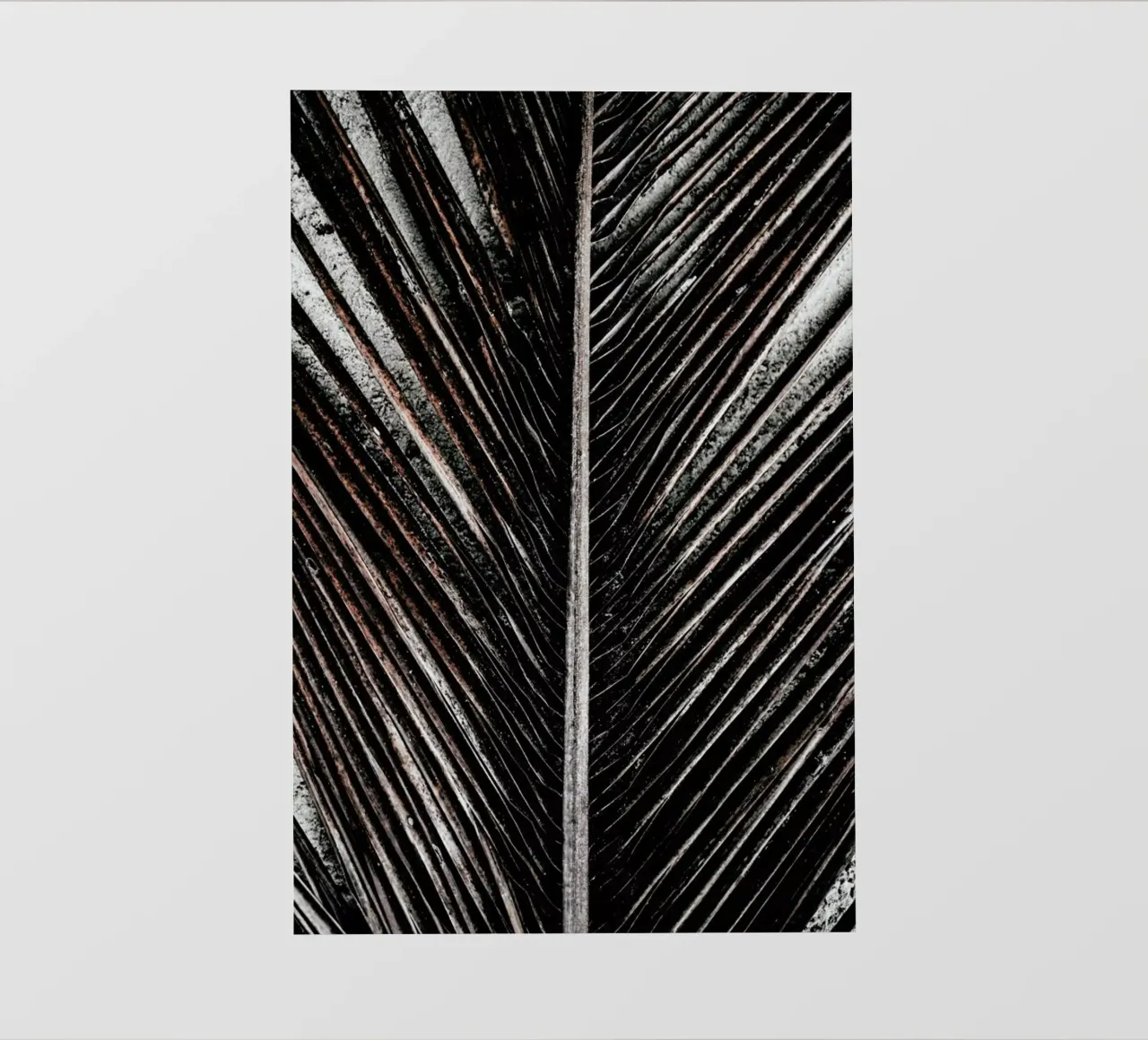 Beach Palm Patterns 12 telo in pvc da Chris Abatzis