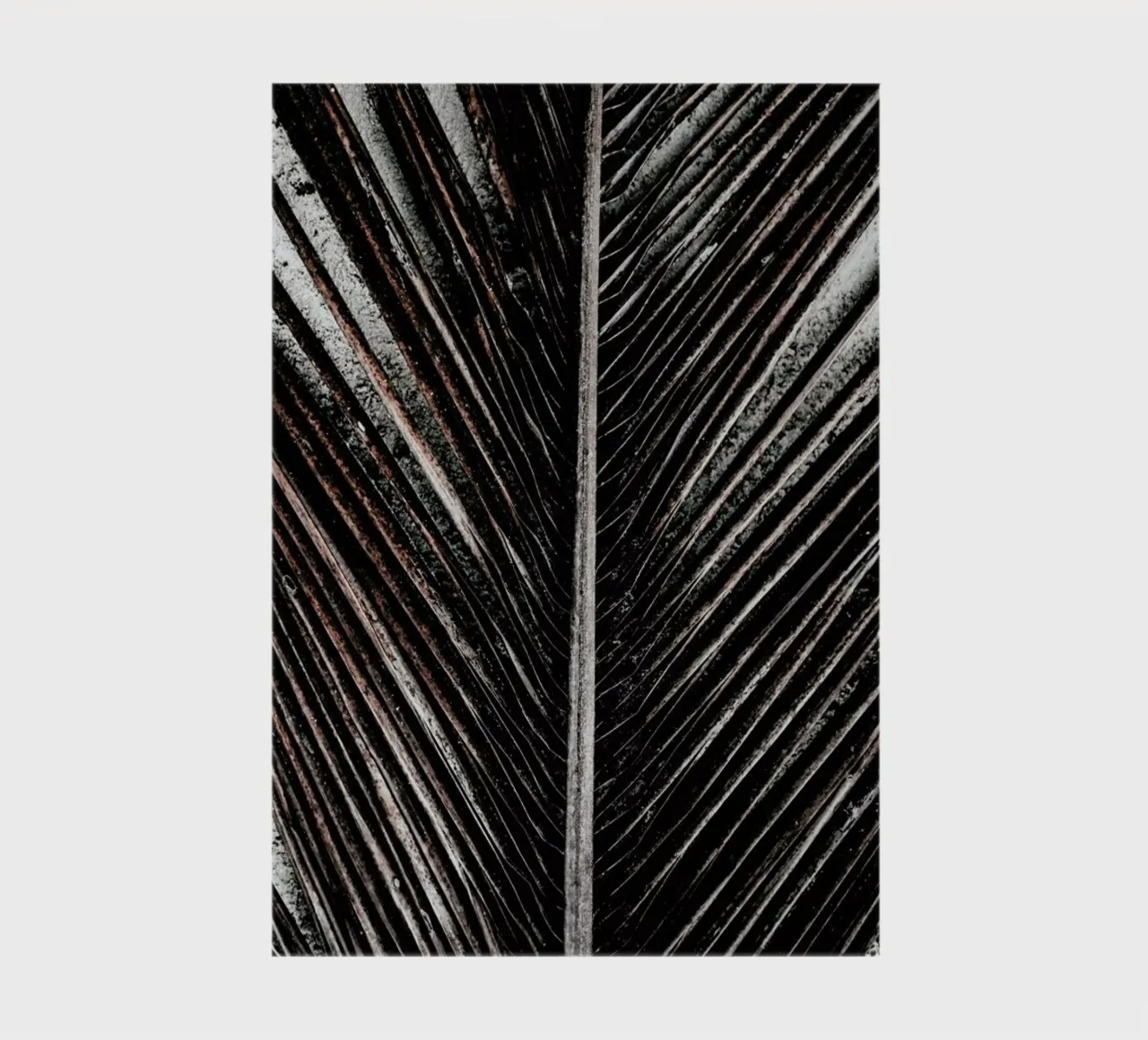 Beach Palm Patterns 12 diario da Chris Abatzis