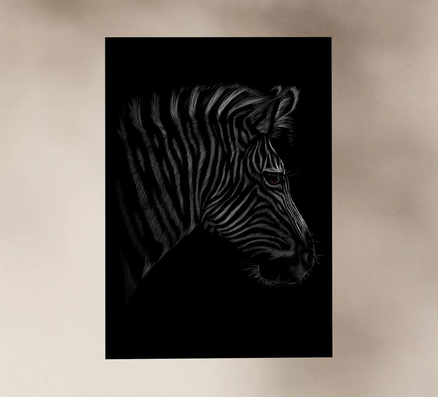 Zebra pellicola backlit da Delaplane