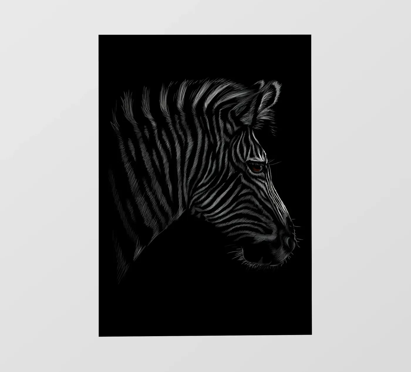 Zebra pellicola backlit da Delaplane