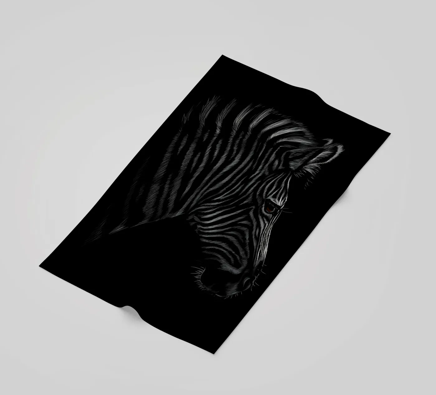 Zebra telo mare da Delaplane