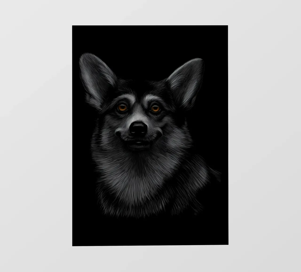 Corgi gallese pellicola backlit da Delaplane