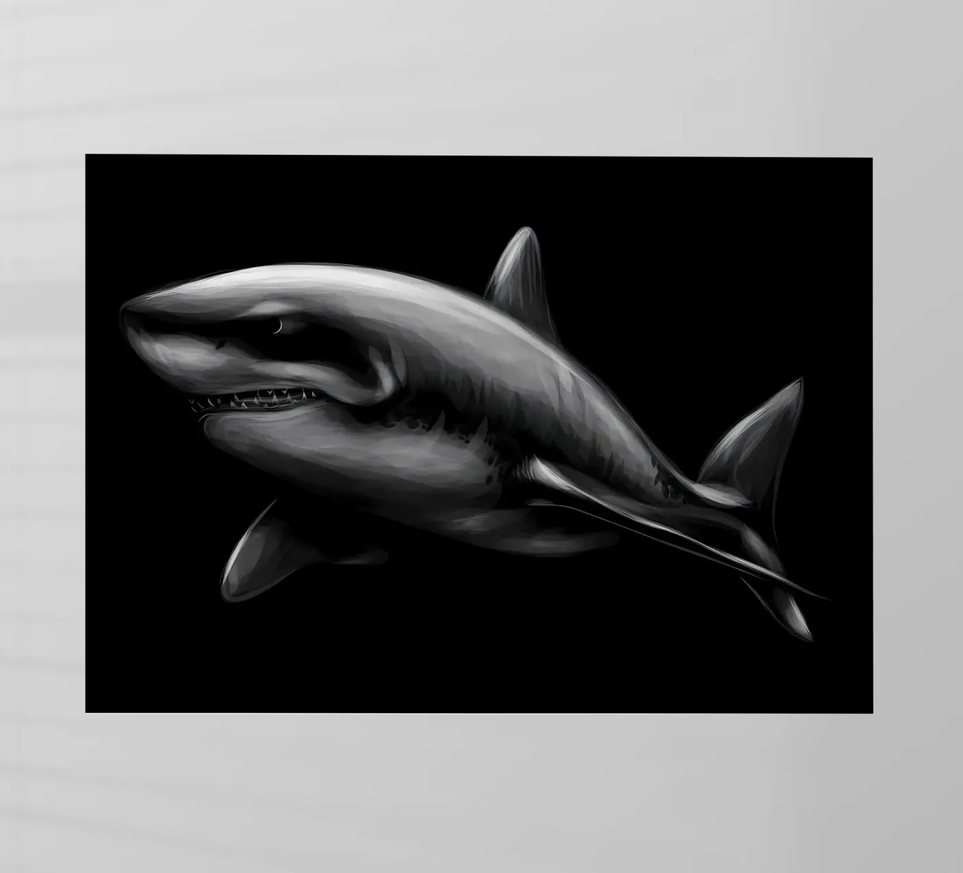 Squalo pellicola backlit da Delaplane