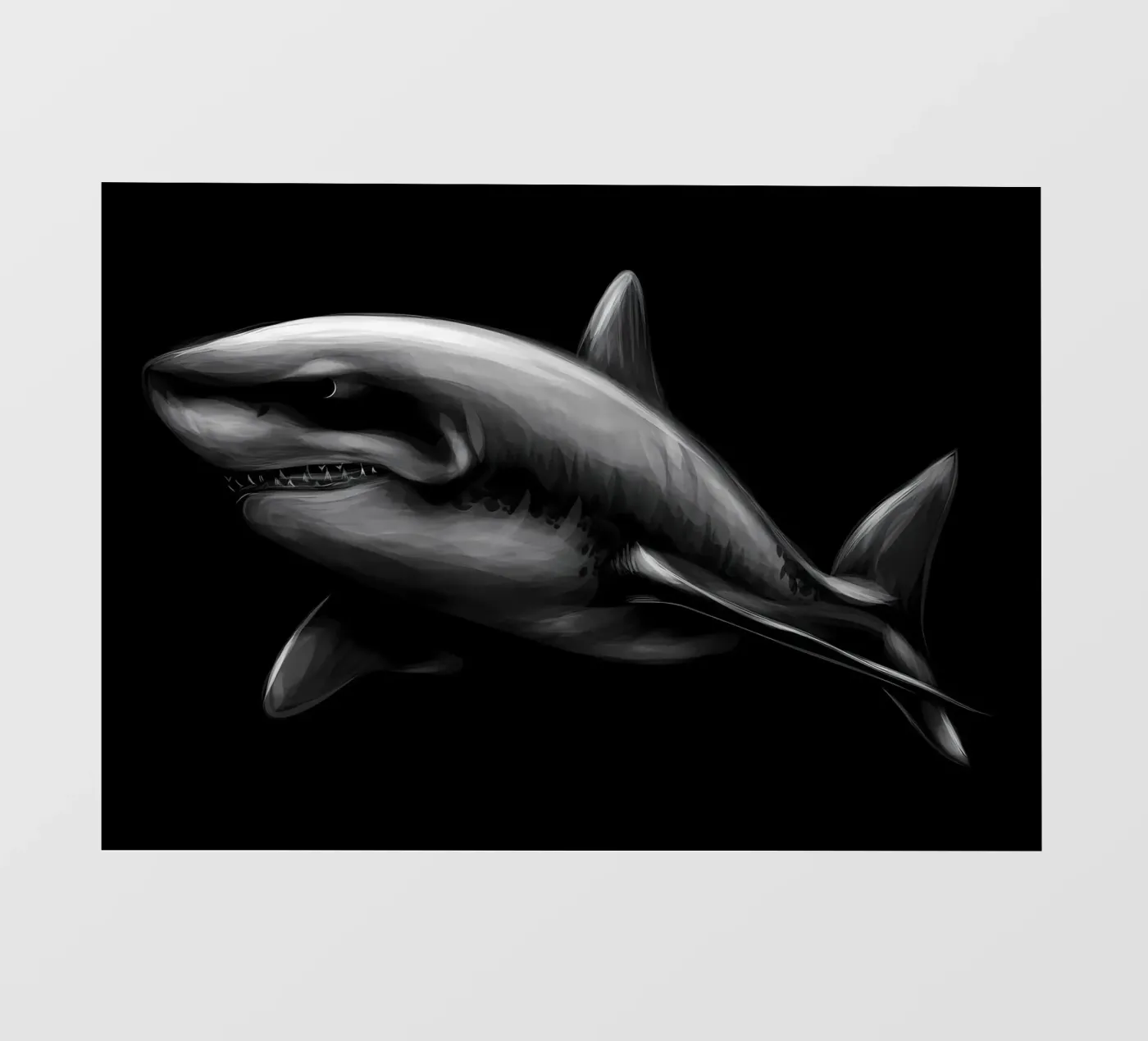 Squalo pellicola backlit da Delaplane