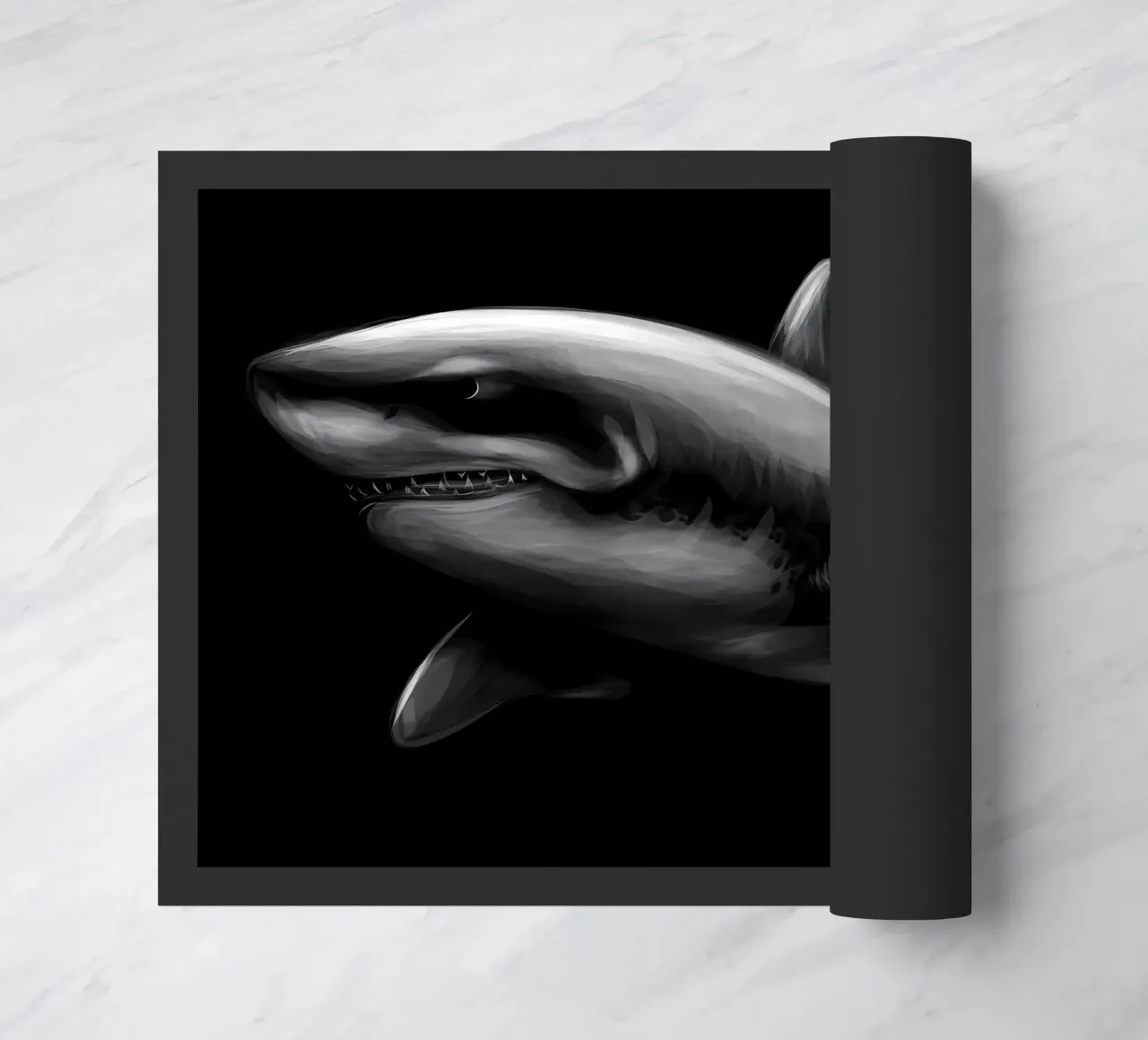 Shark zerbino da Delaplane