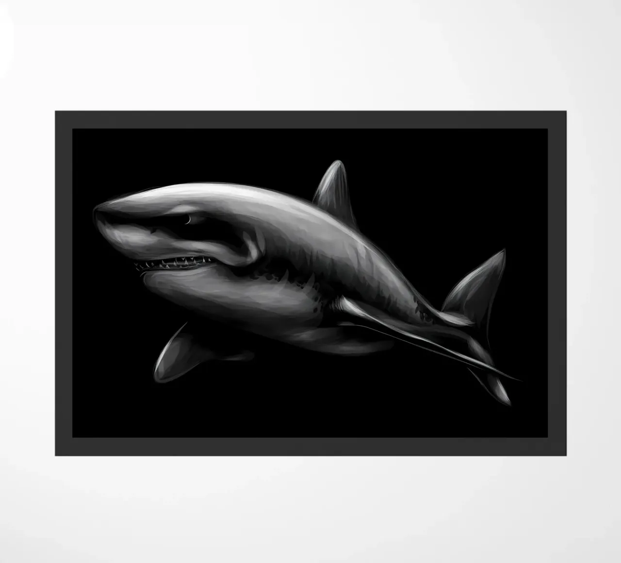 Shark zerbino da Delaplane