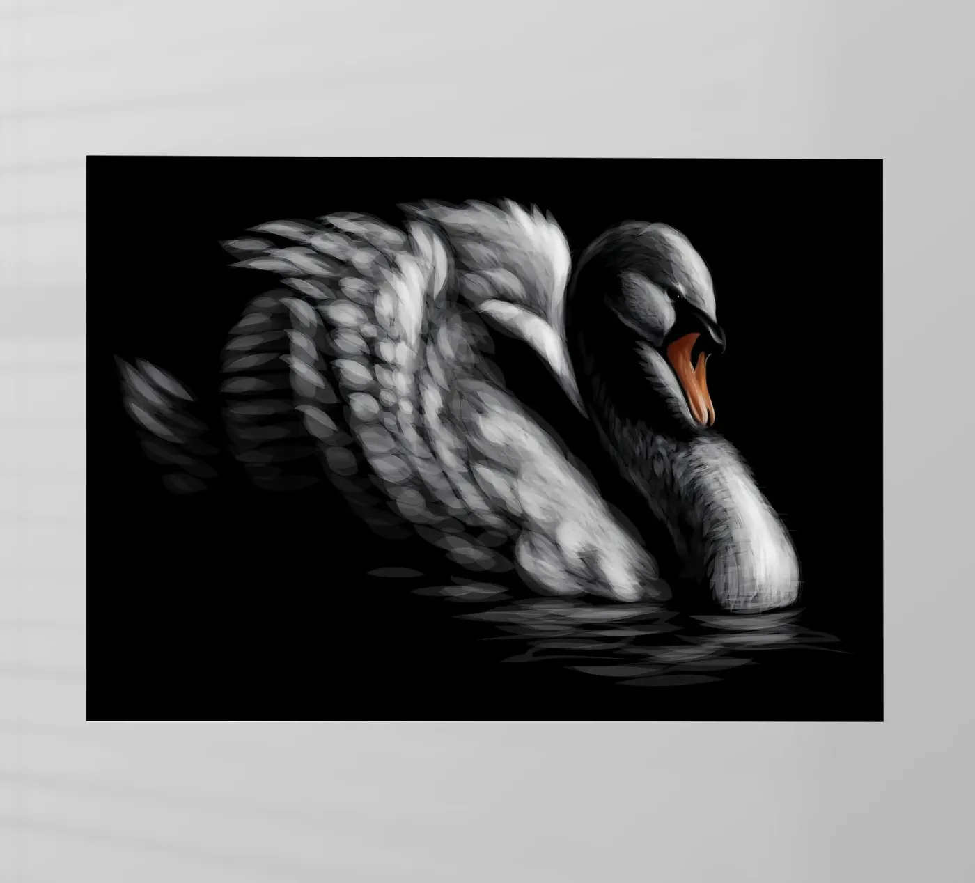 Cigno pellicola backlit da Delaplane
