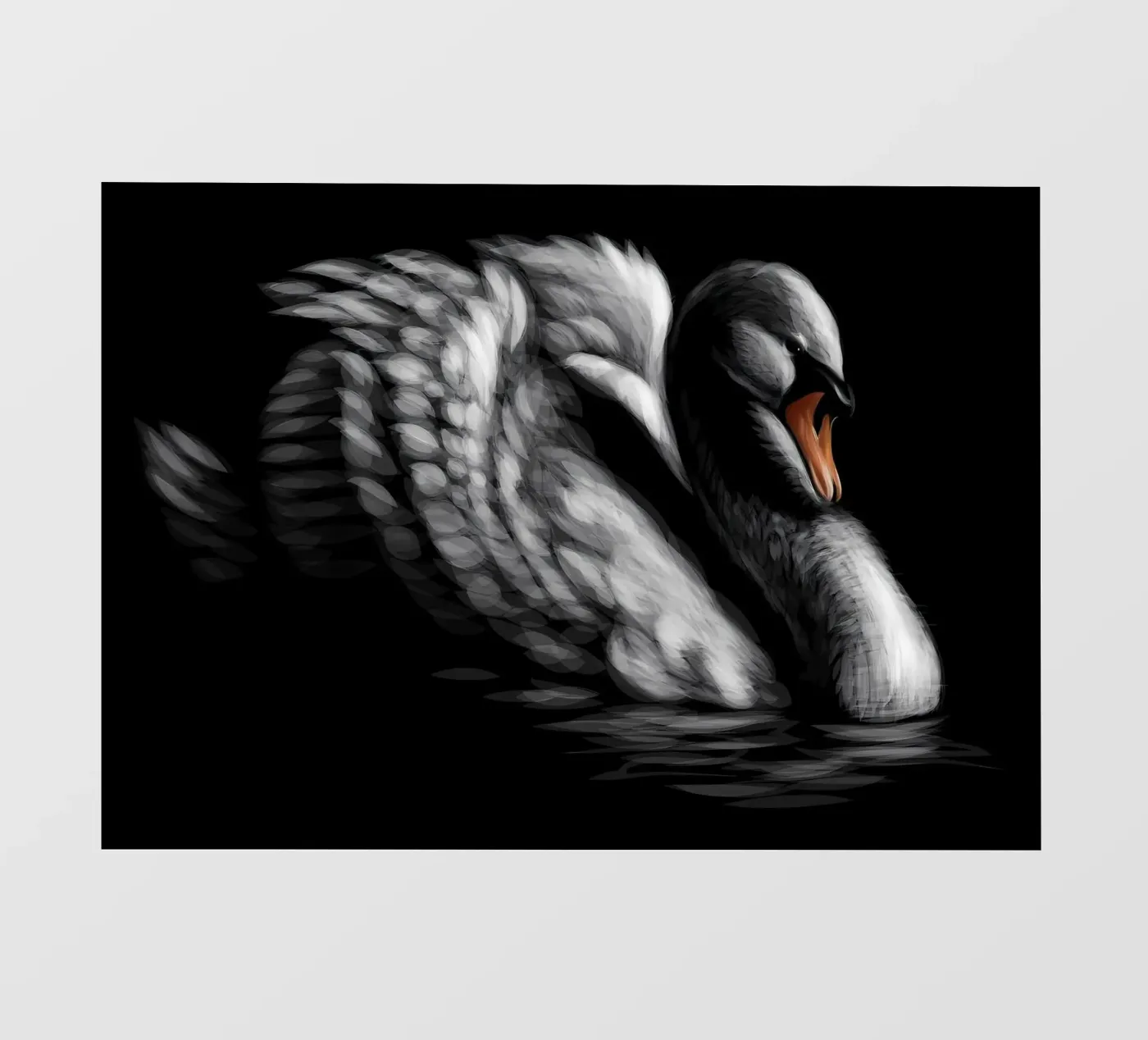 Cigno pellicola backlit da Delaplane
