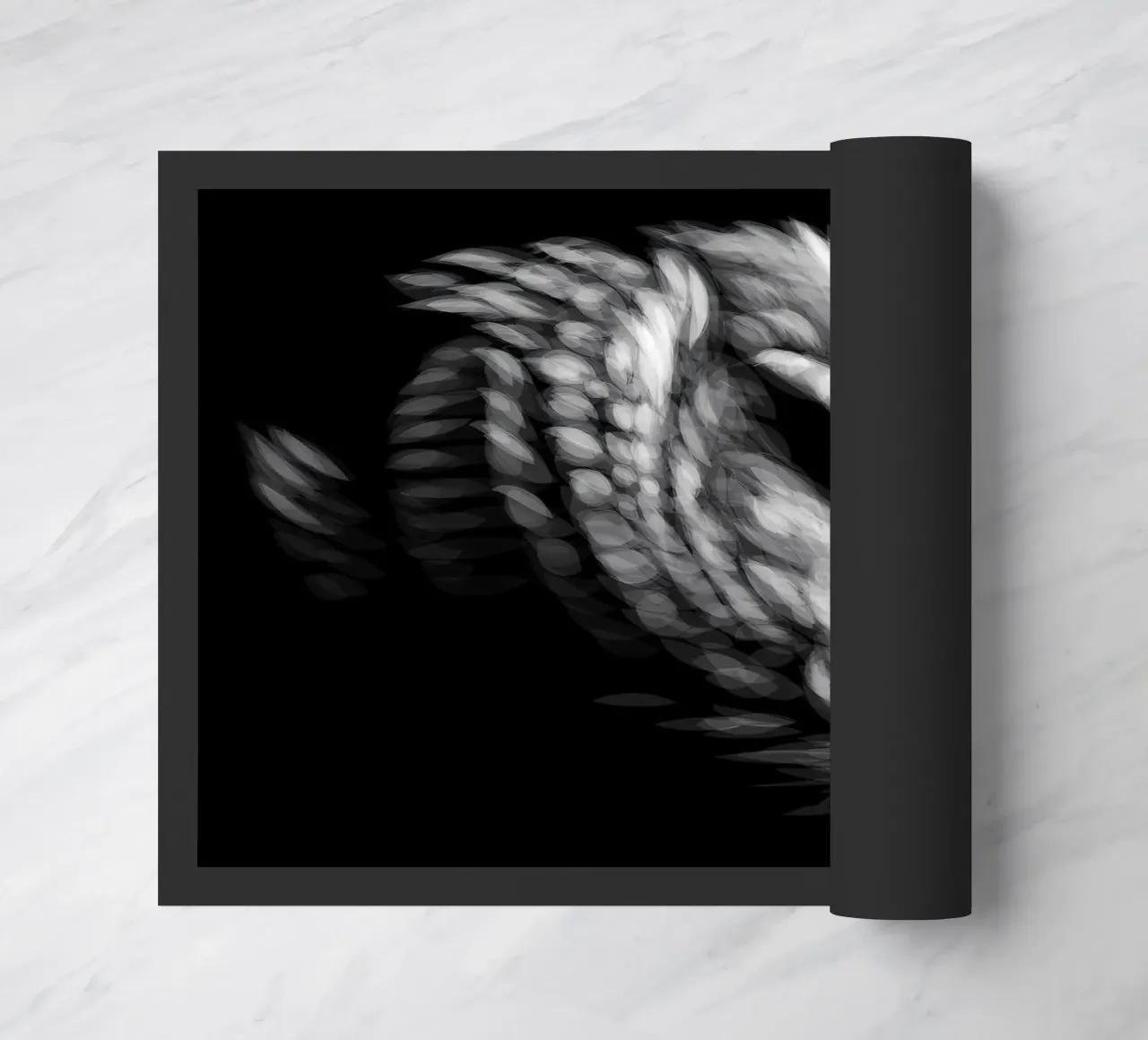 Cigno zerbino da Delaplane