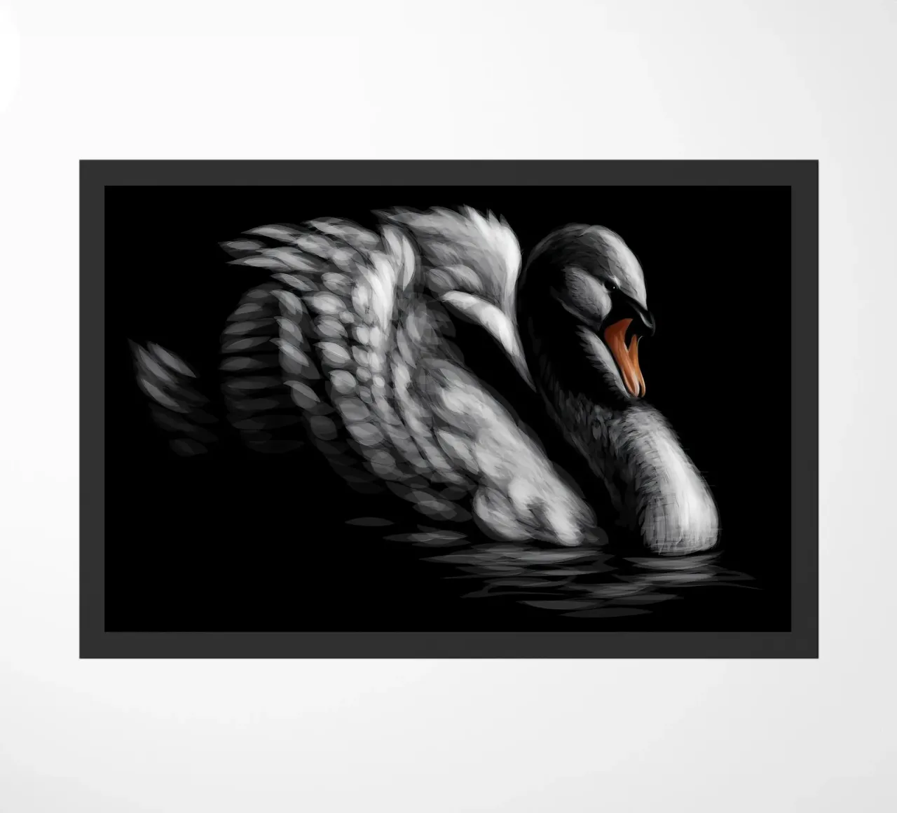 Cigno zerbino da Delaplane