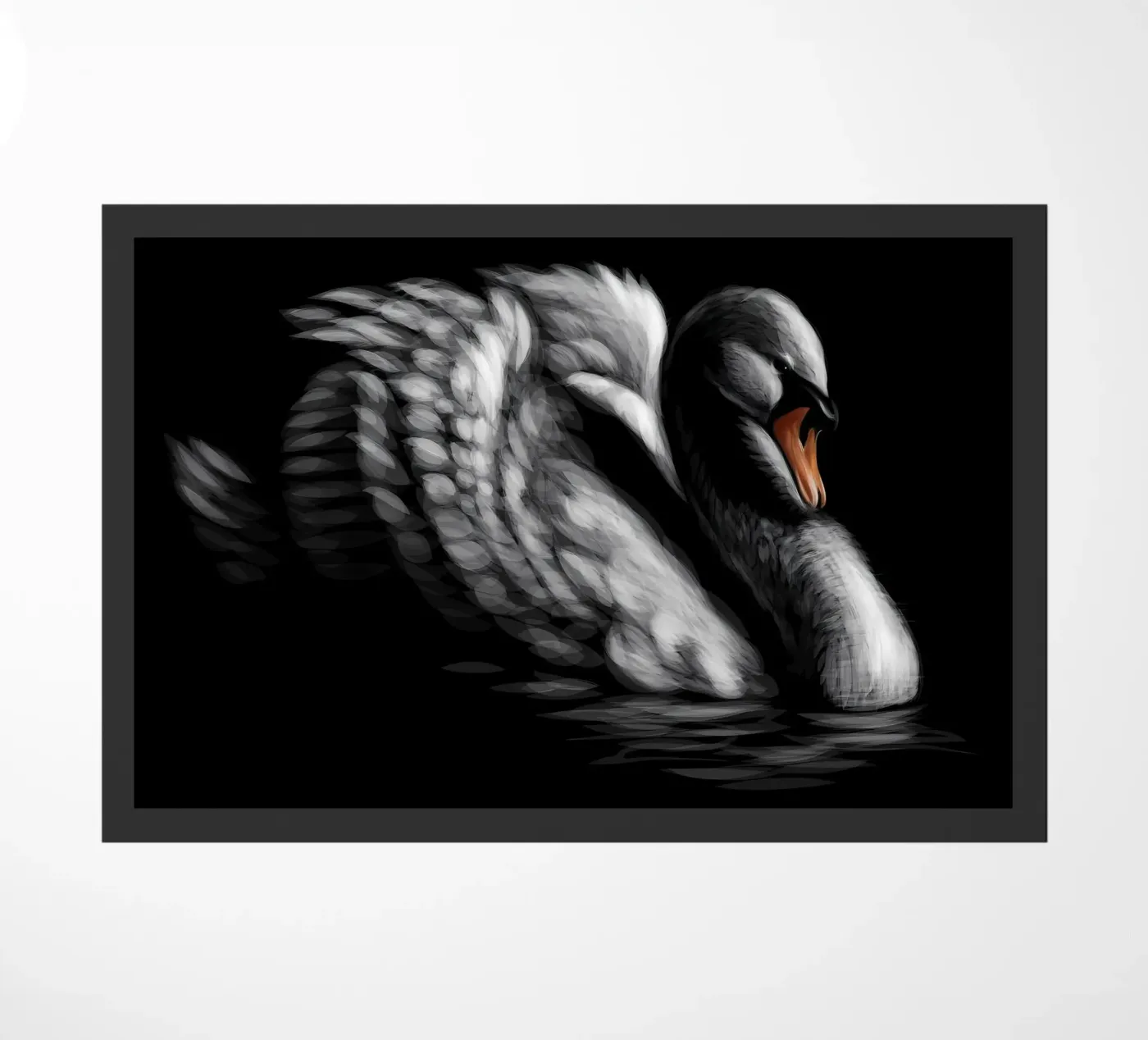 Cigno zerbino da Delaplane