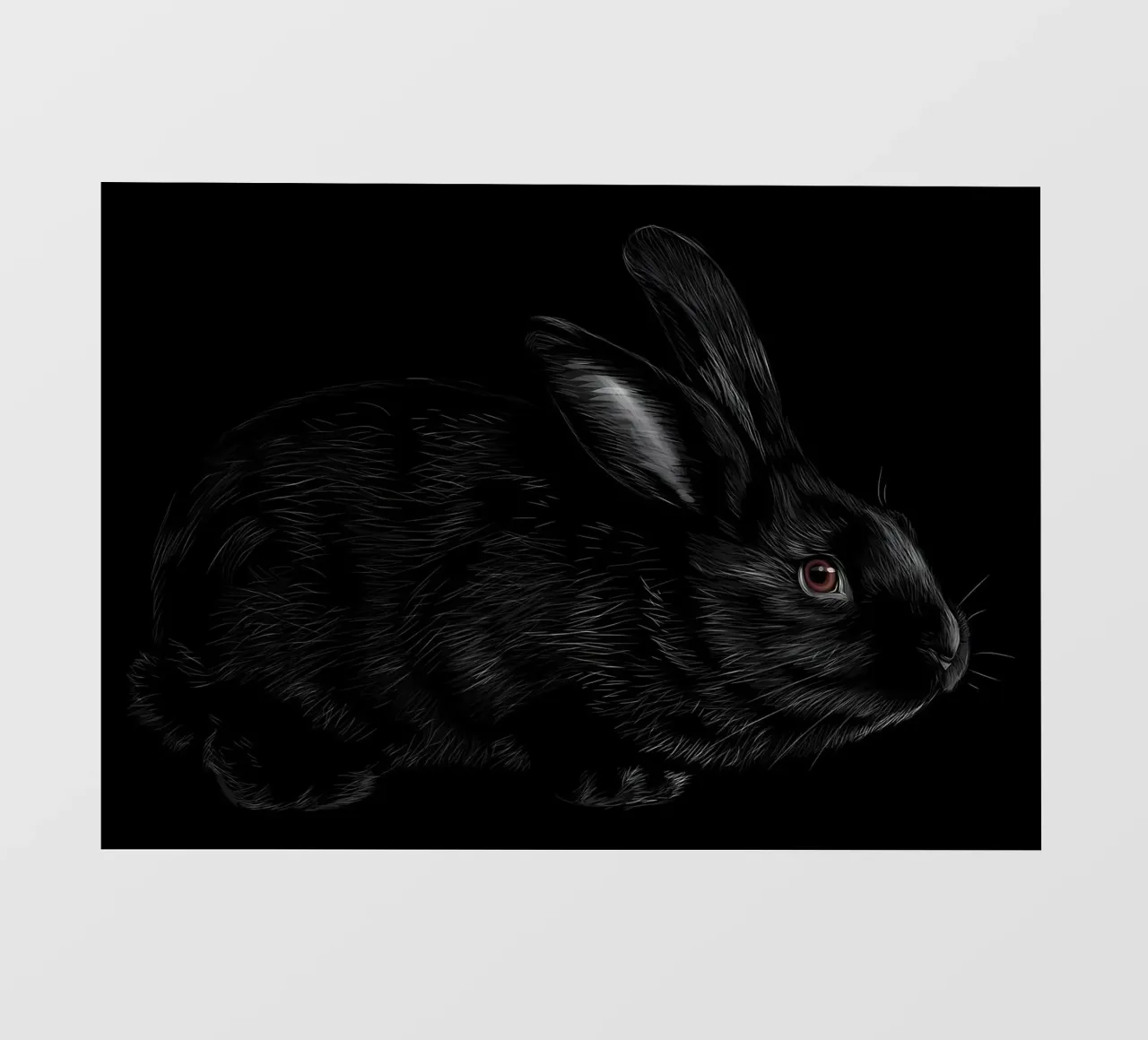 Coniglio pellicola backlit da Delaplane