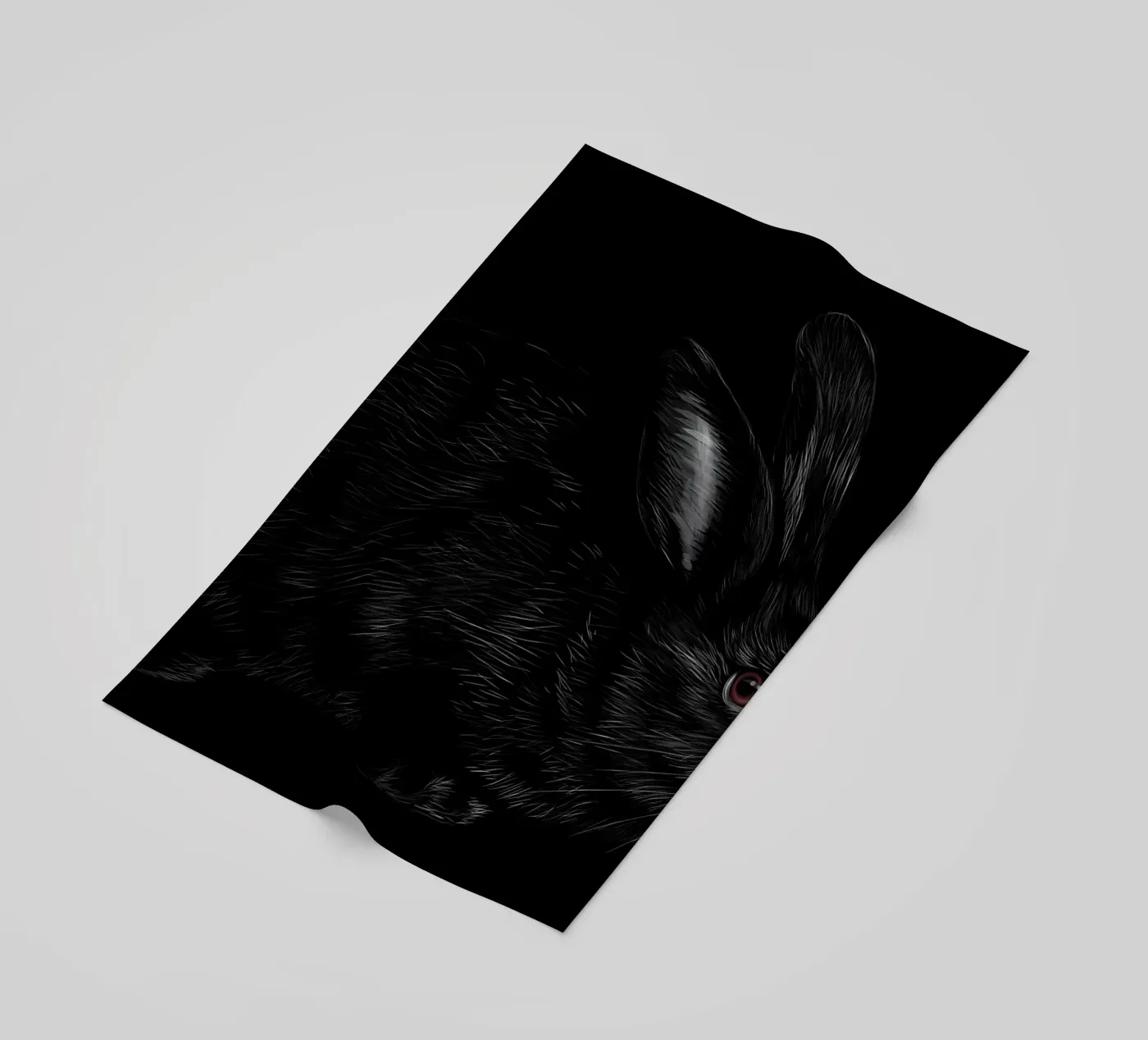 Rabbit telo mare da Delaplane