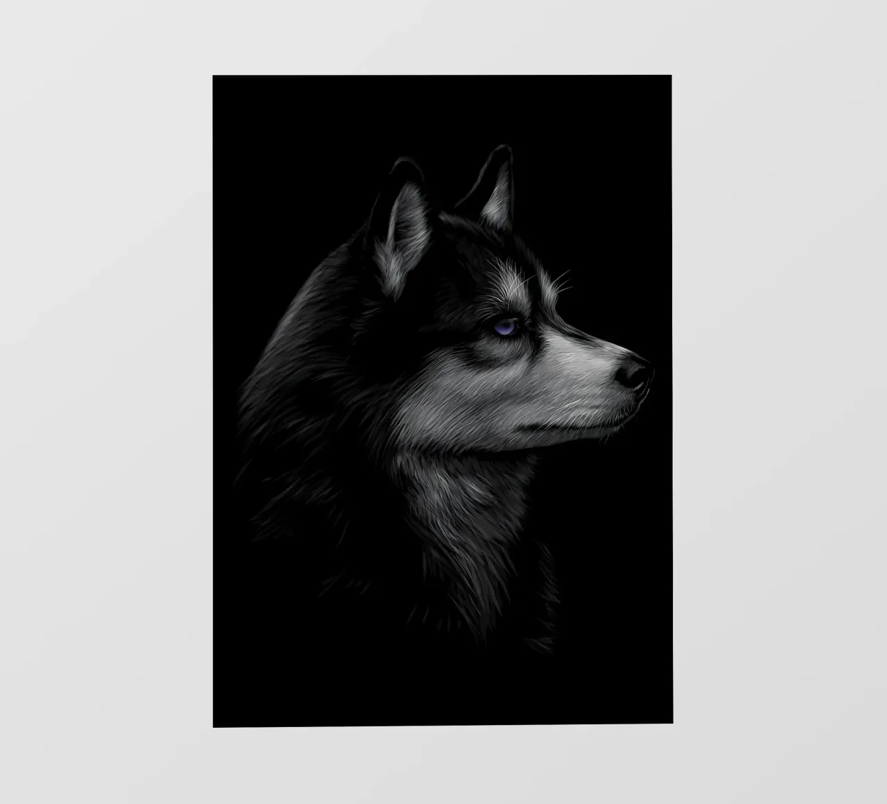 Husky siberiano pellicola backlit da Delaplane
