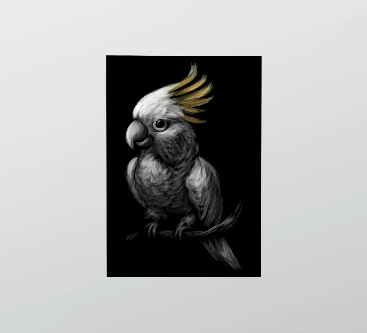 Sulphur Crested Cockatoo sticker by Delaplane