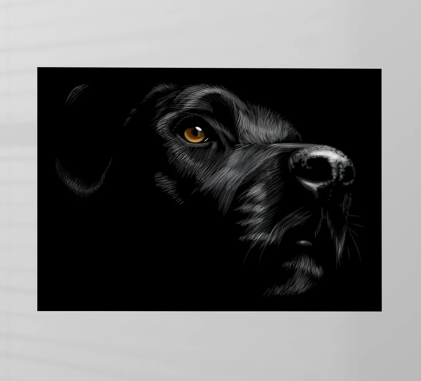 Labrador pellicola backlit da Delaplane