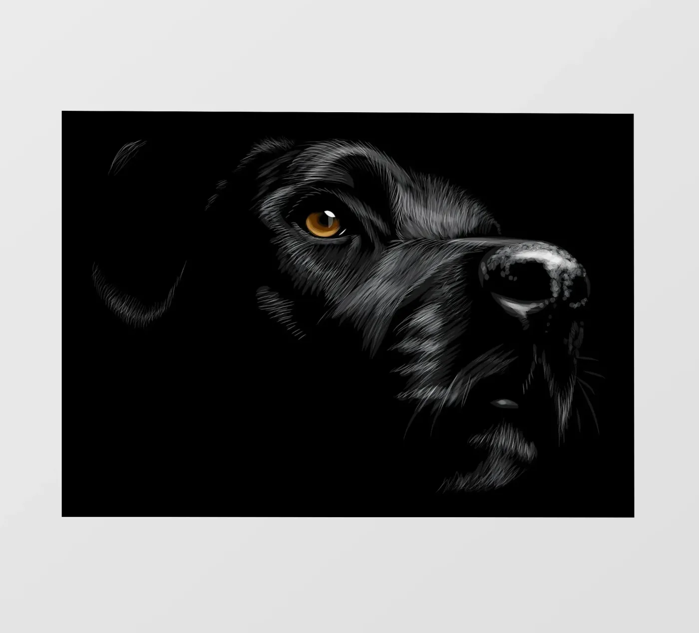 Labrador pellicola backlit da Delaplane