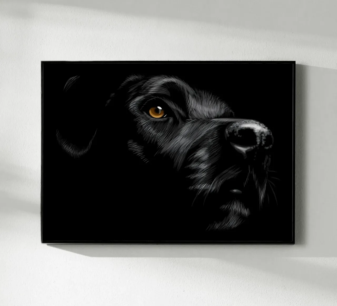 Labrador plexiglass da Delaplane