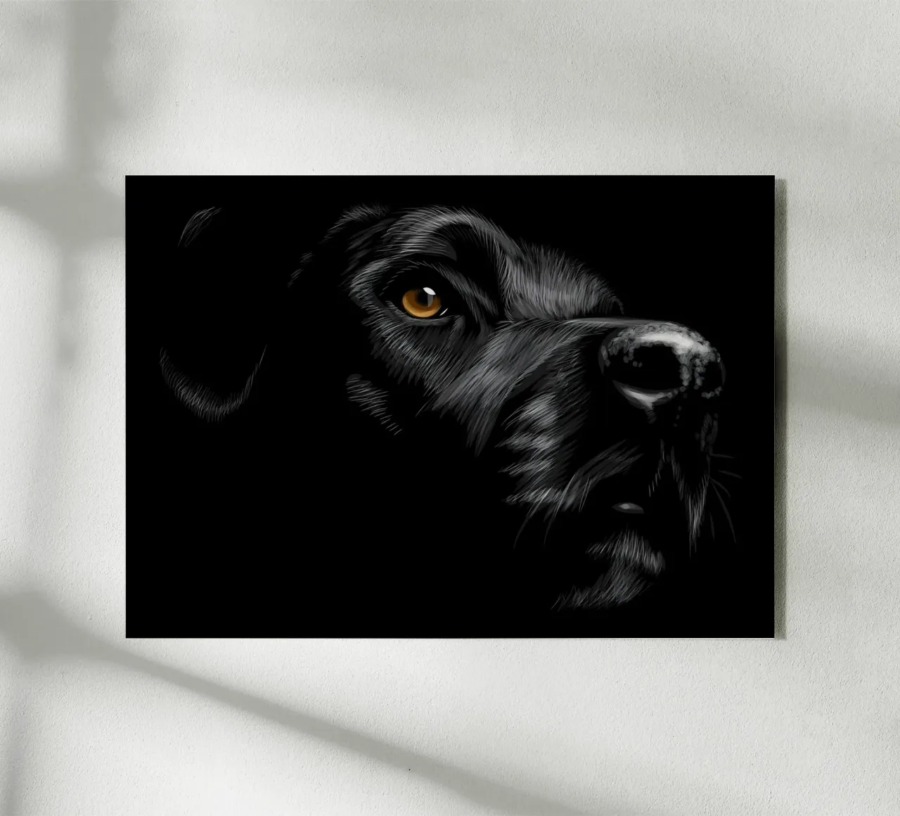 Labrador plexiglass da Delaplane