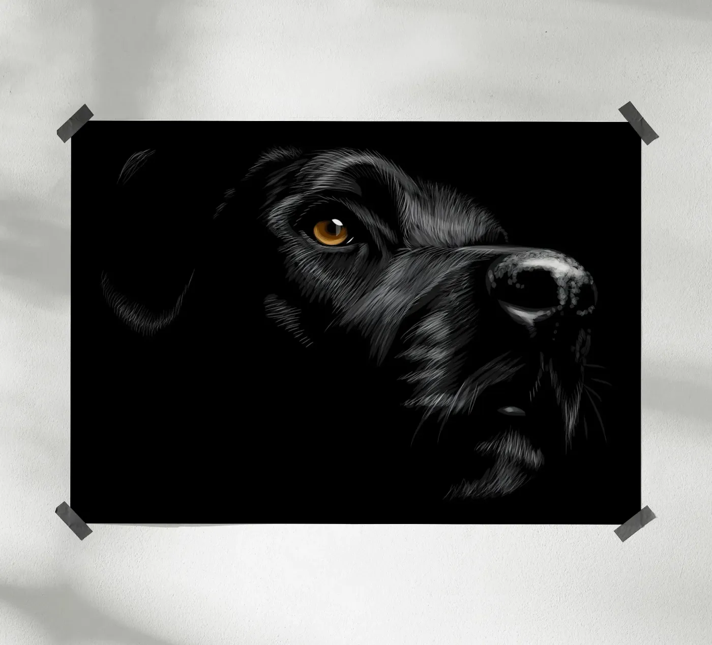 Labrador poster da Delaplane