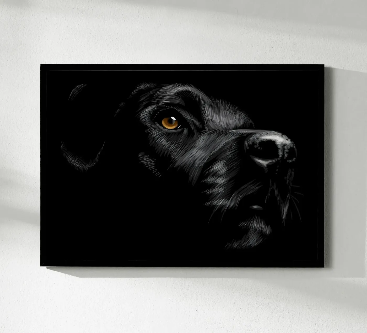 Labrador poster da Delaplane