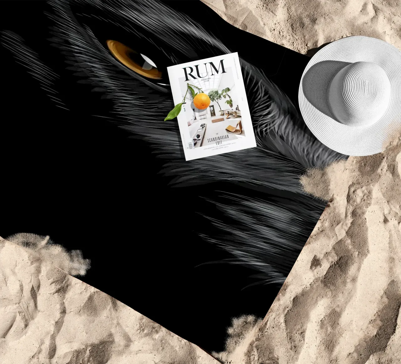 Labrador telo mare da Delaplane