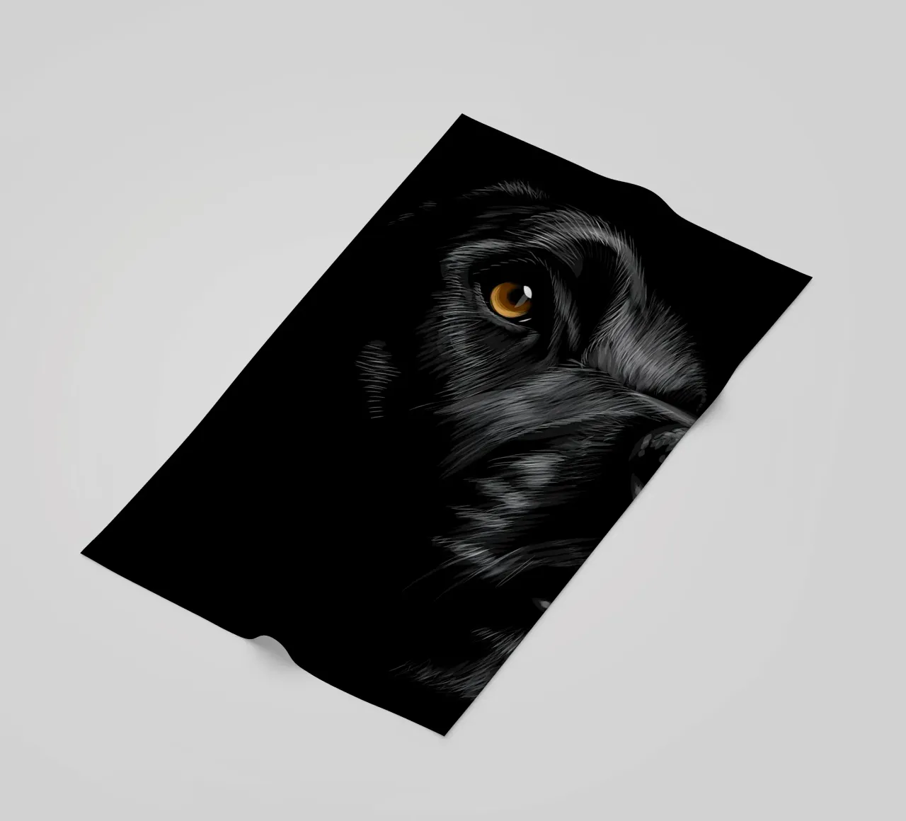 Labrador telo mare da Delaplane