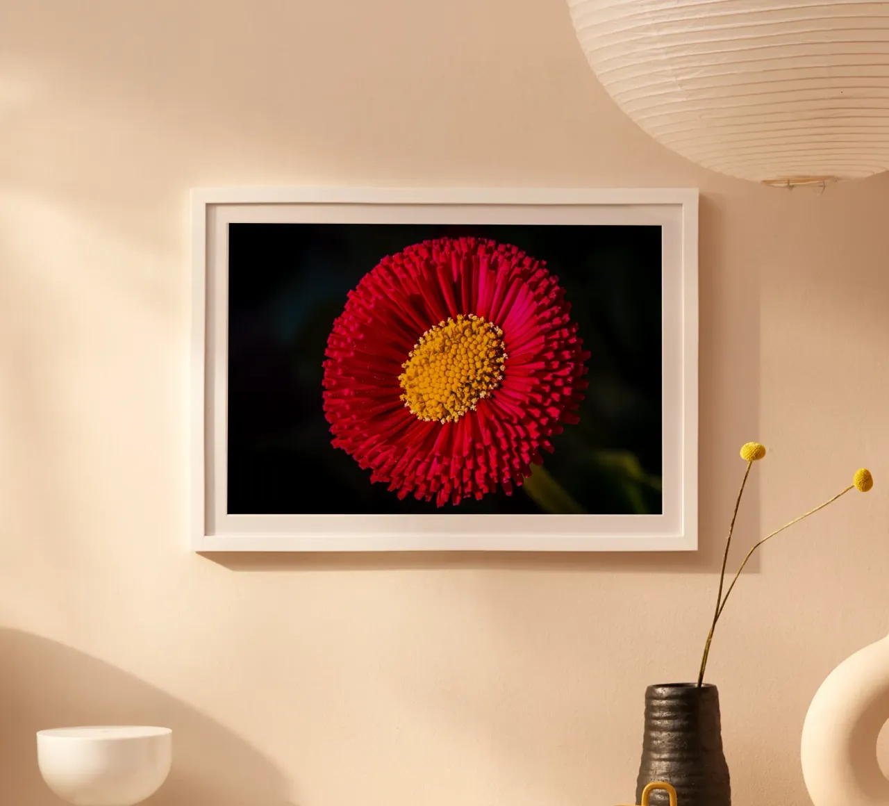 Margherita rossa in primavera poster con telaio in plastica da Marcus Beckert | Fotografie