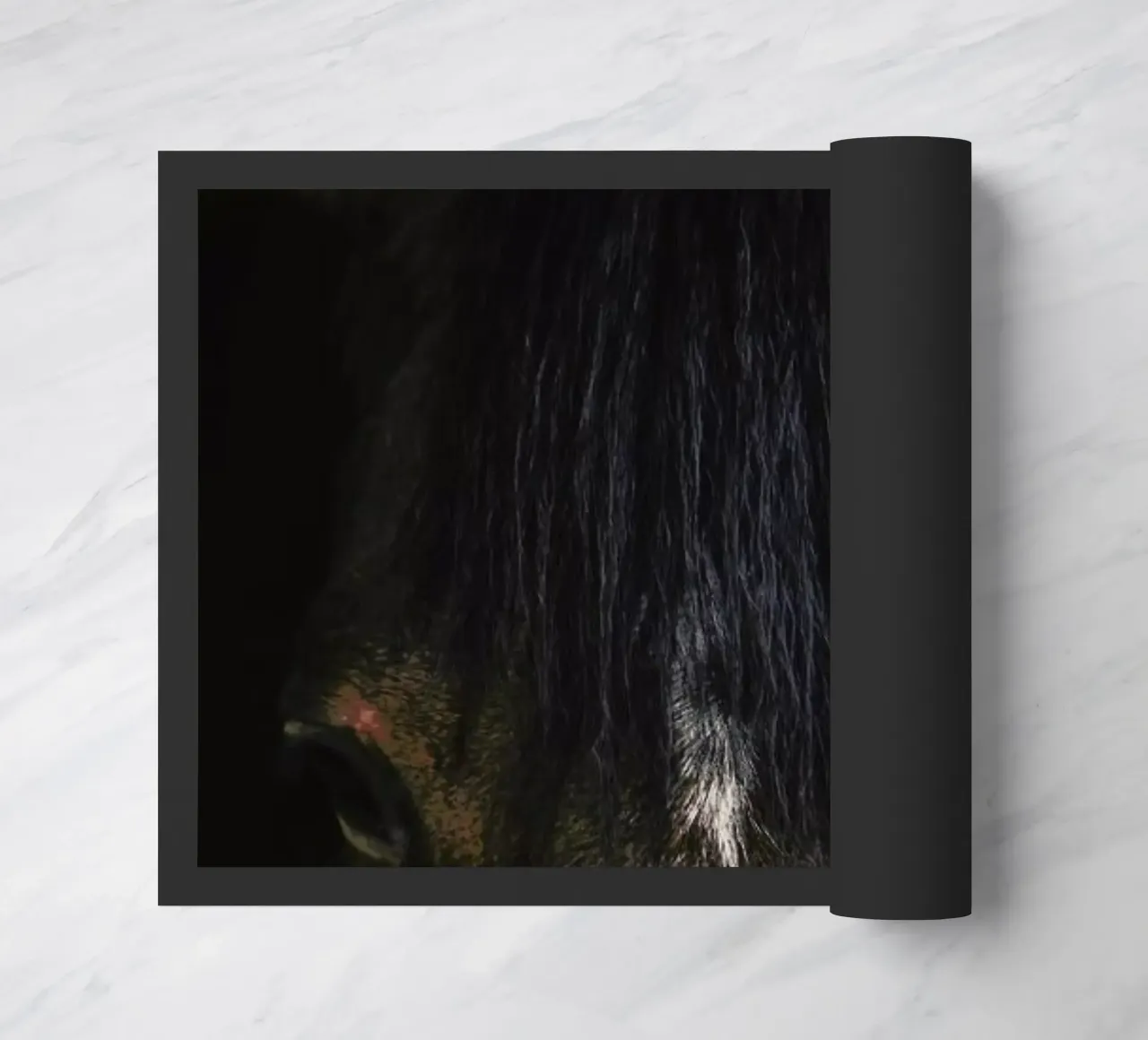 Cheyenne doormat by Ingrid Beddoes