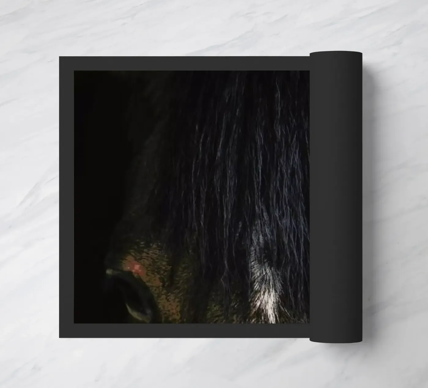 Cheyenne Fußmatte von Ingrid Beddoes