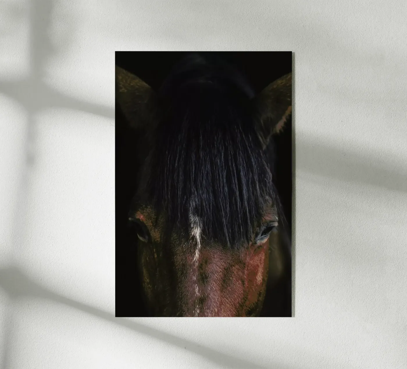 Cheyenne plexiglas de Ingrid Beddoes