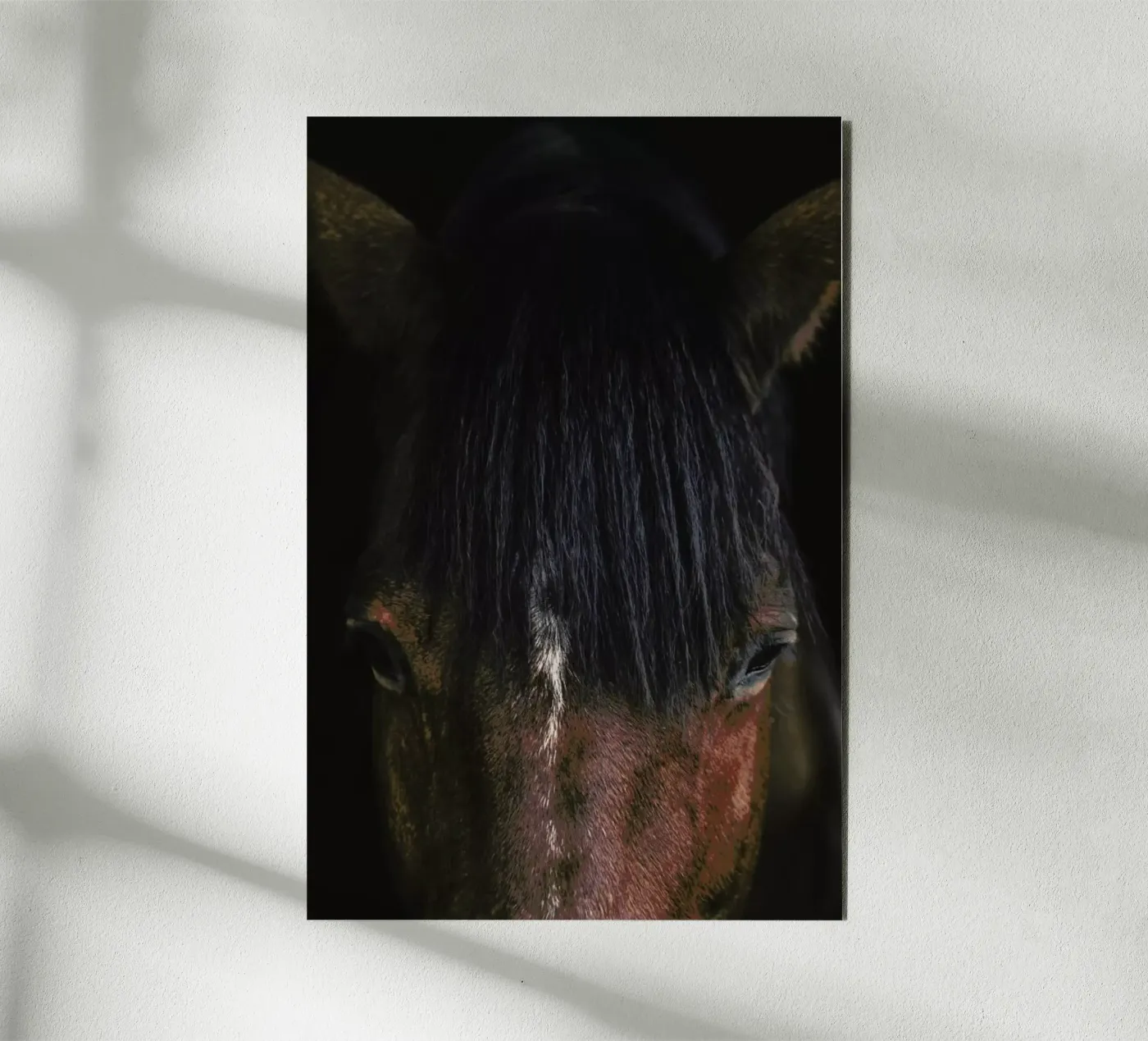 Cheyenne pannello forex da Ingrid Beddoes