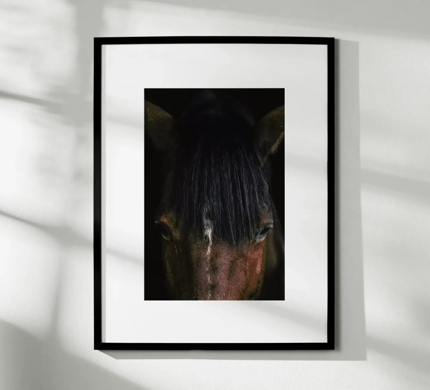 Cheyenne Poster von Ingrid Beddoes