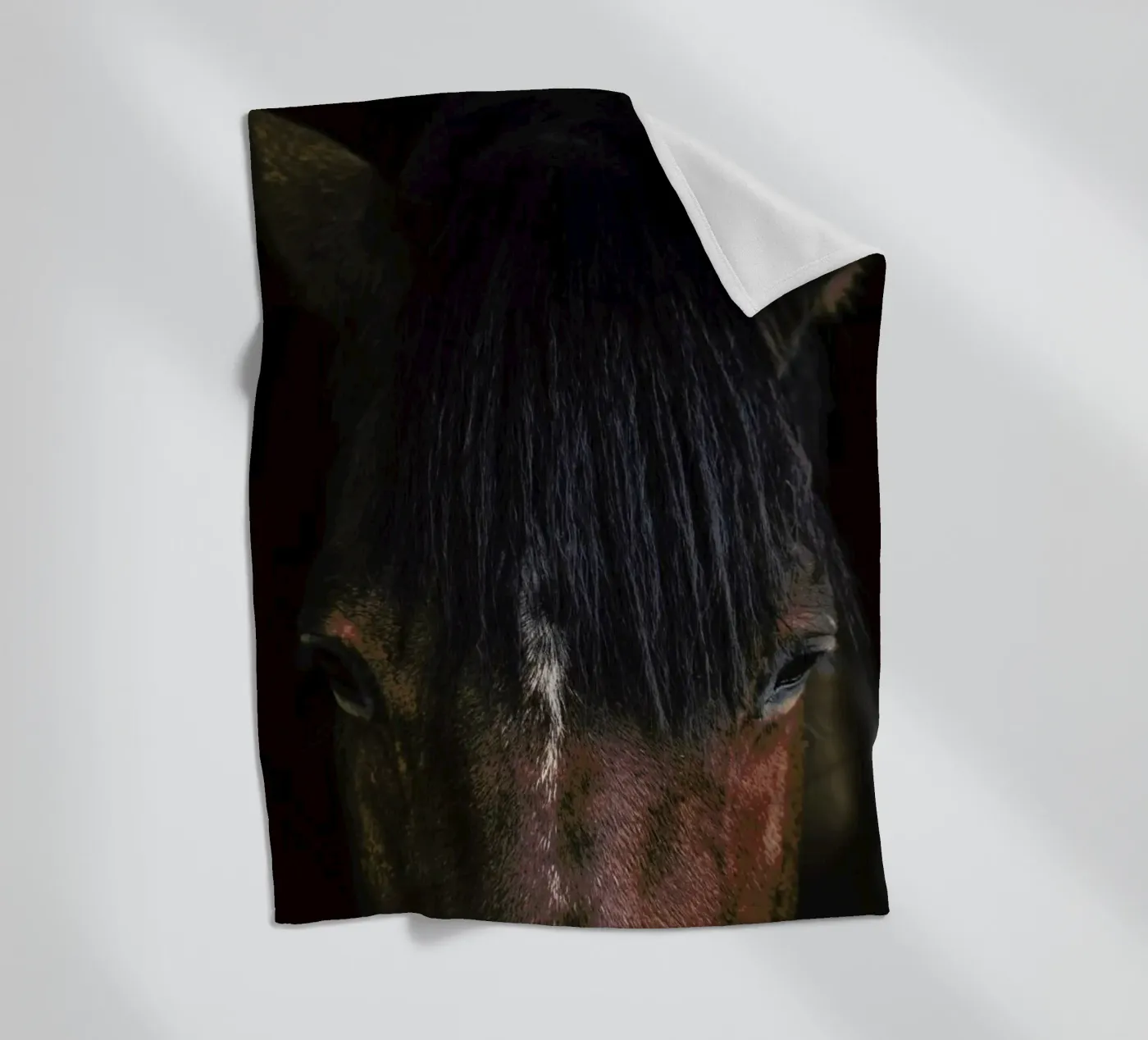 Cheyenne Fleecedecke von Ingrid Beddoes