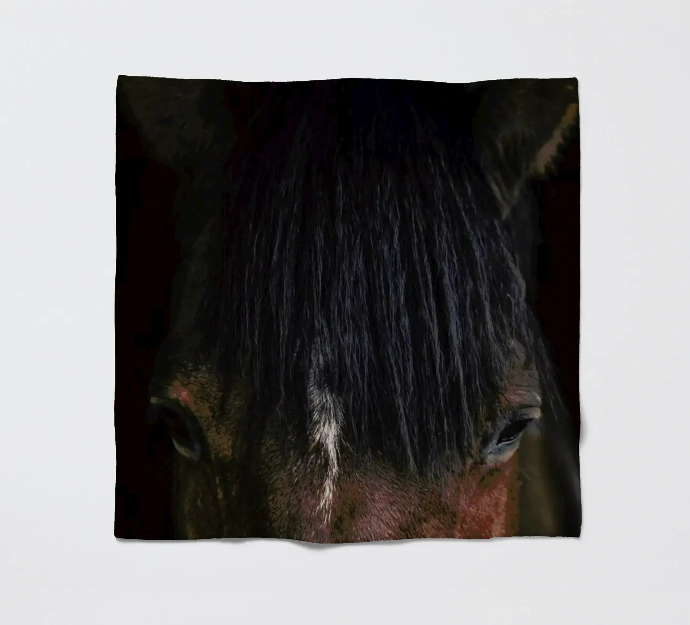 Cheyenne Fleecedecke von Ingrid Beddoes
