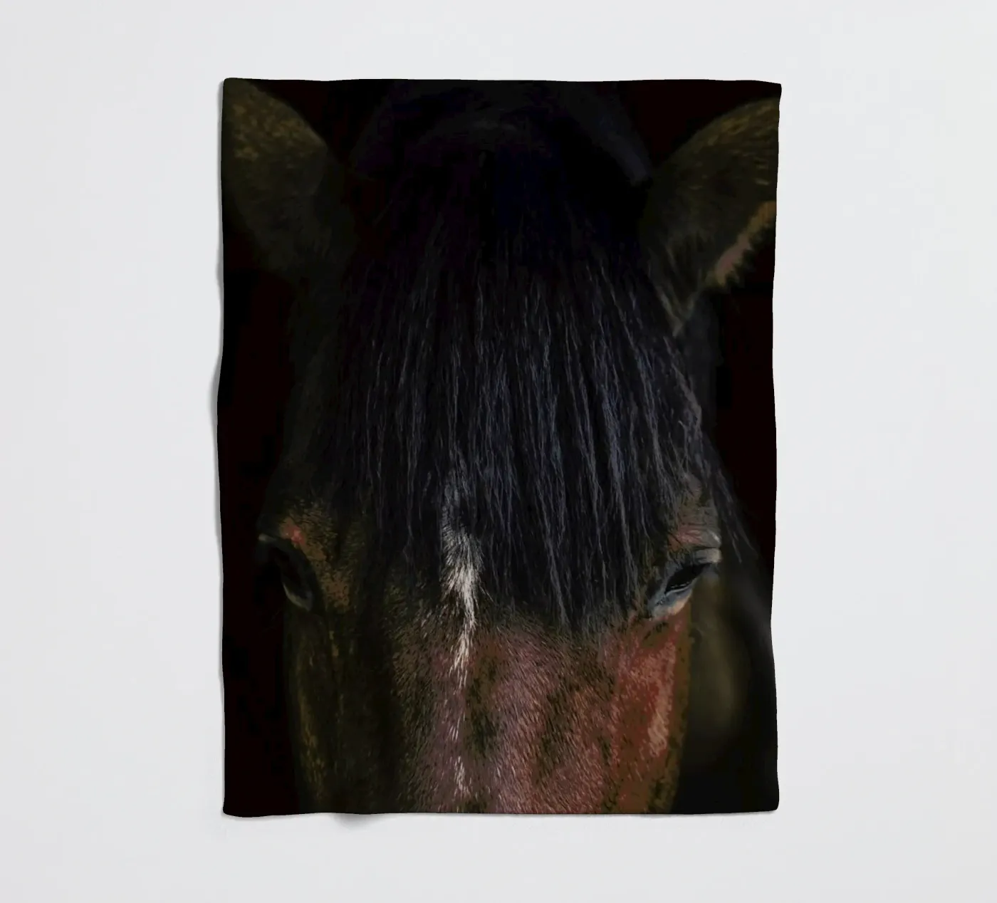 Cheyenne Fleecedecke von Ingrid Beddoes