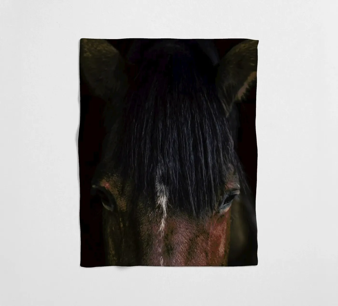 Cheyenne Fleecedecke von Ingrid Beddoes