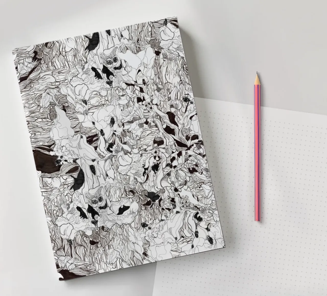 the condor and the eagle notebook by Giulio Iurissevich