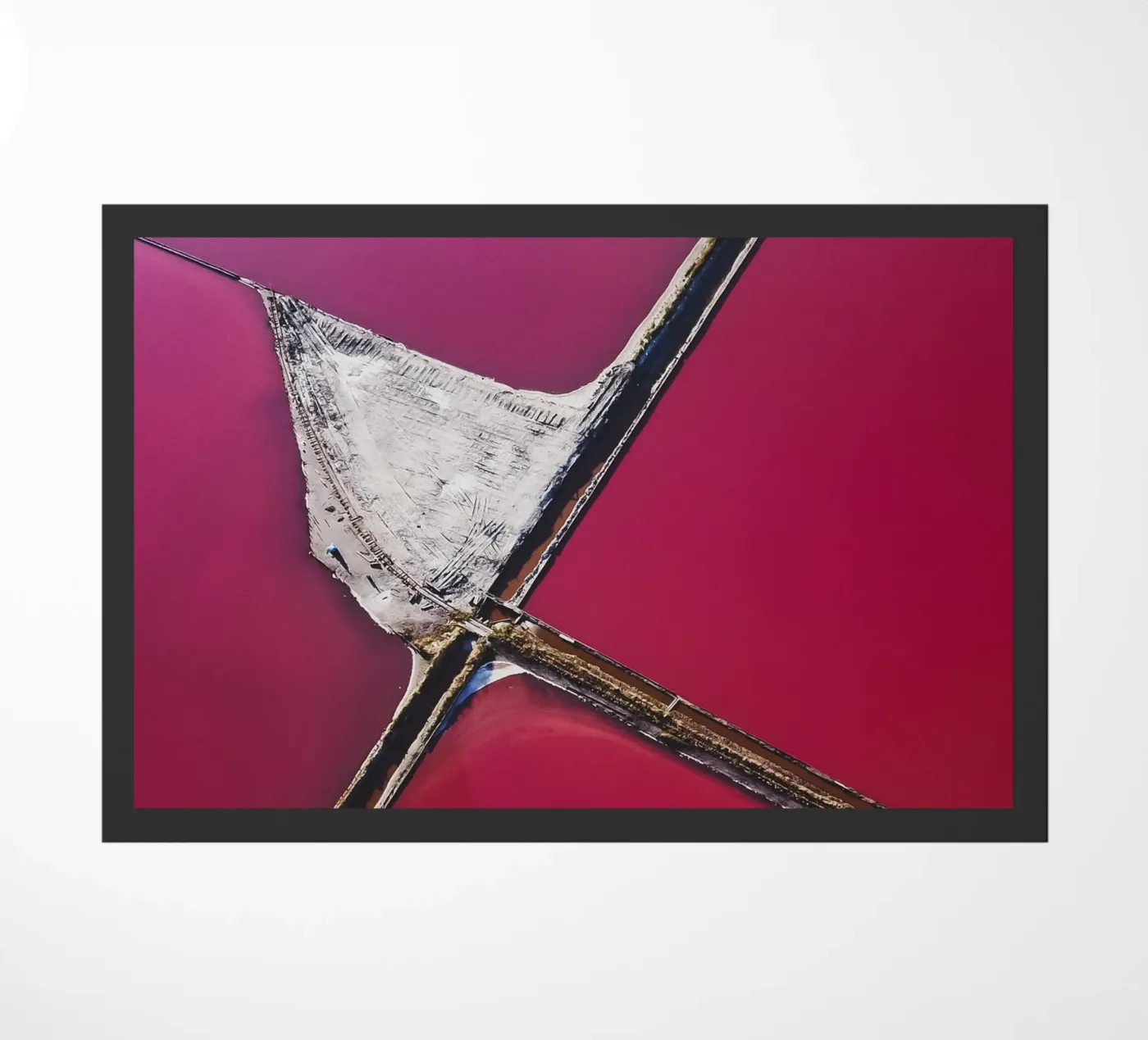 Salt Lakes zerbino da Framative